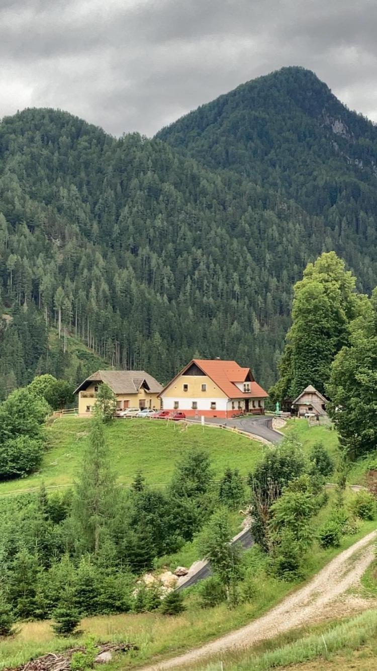솔차바 Tourist Farm Gradisnik 아파트 외부 사진