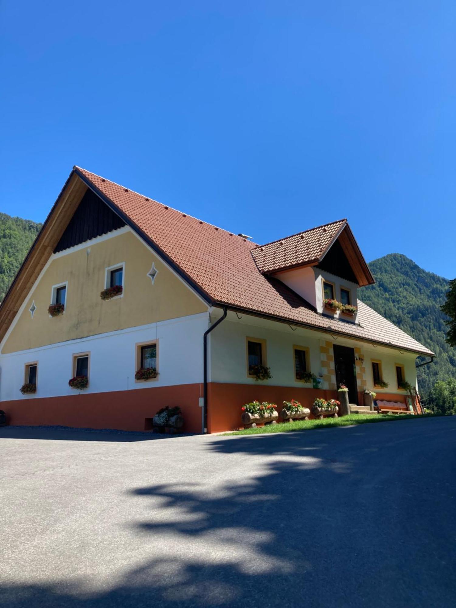 솔차바 Tourist Farm Gradisnik 아파트 외부 사진