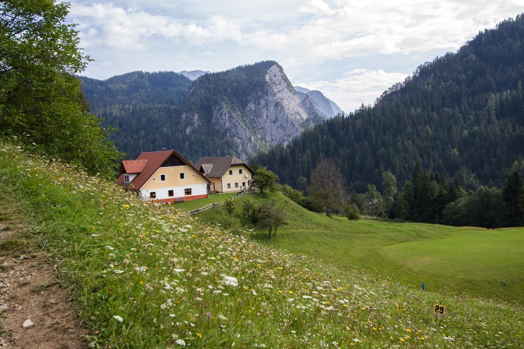 솔차바 Tourist Farm Gradisnik 아파트 외부 사진