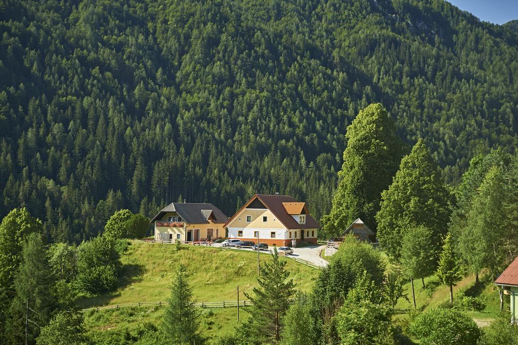 솔차바 Tourist Farm Gradisnik 아파트 외부 사진